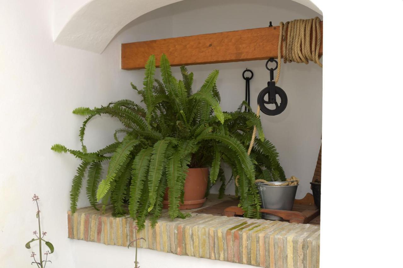 Apartamento Casa Arbonaida  Vejer de la Frontera Exterior foto