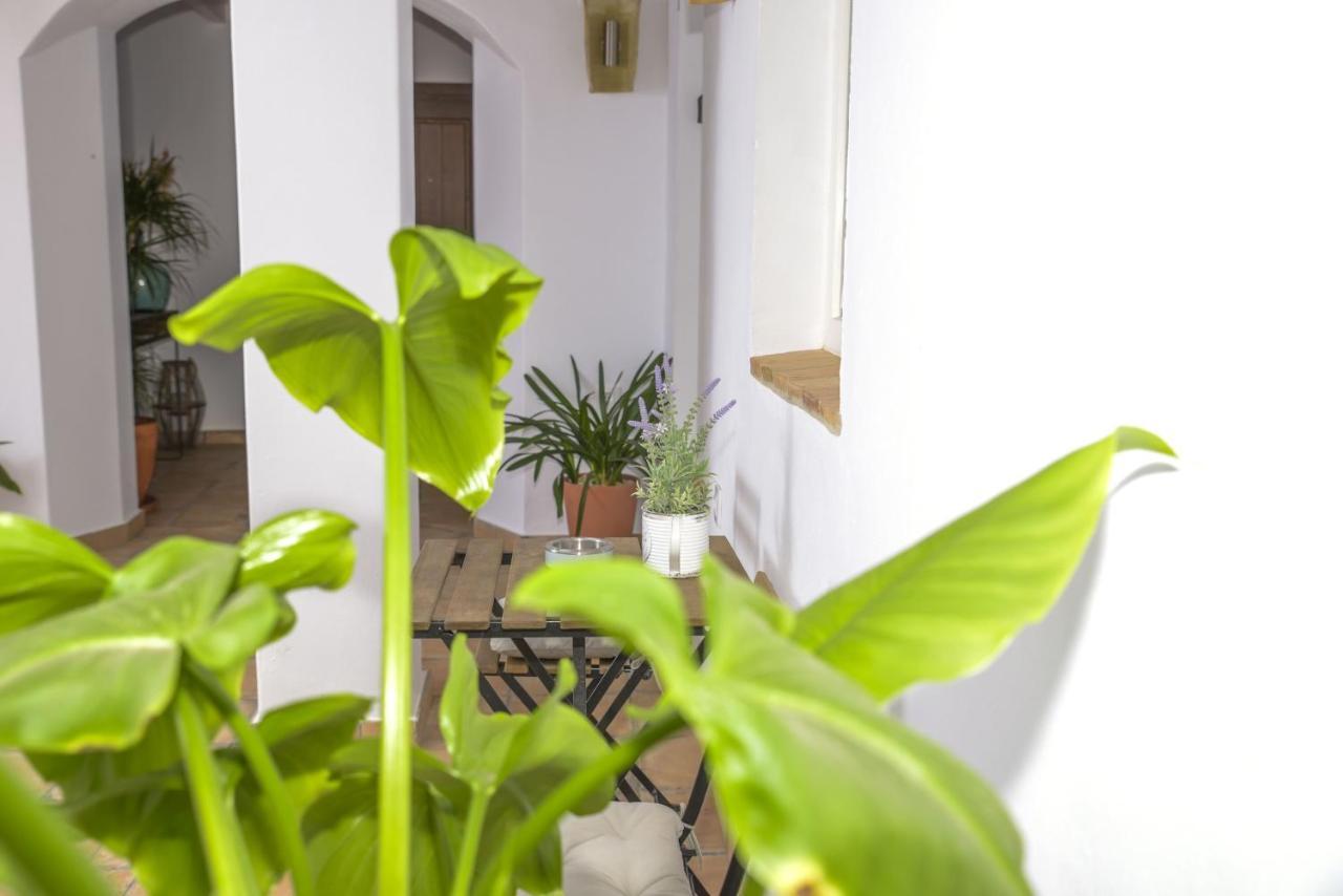 Apartamento Casa Arbonaida  Vejer de la Frontera Exterior foto